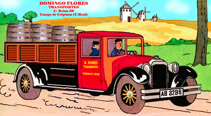 Transportes Domingo Flores