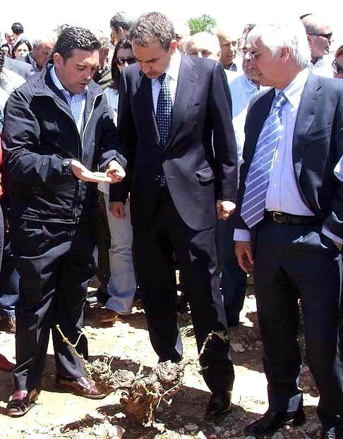 Pleno de autoridades