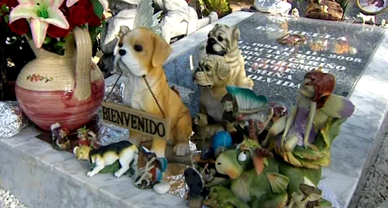 Cementerio para mascotas