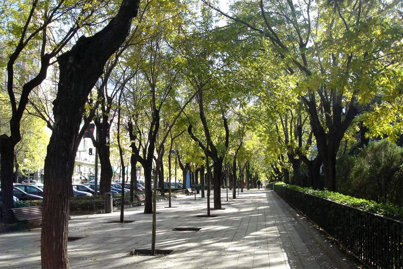 Paseo del Pintor Rosales