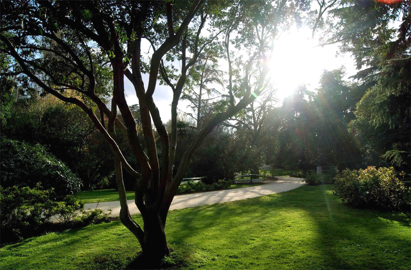 Parque de la Fuente del Berro