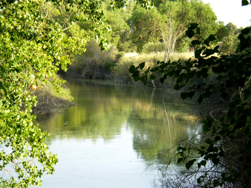 El Manzanares a su paso por El Pardo