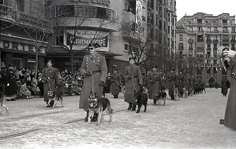 Vueltas de San Antón por la calle de Barceló en 1955