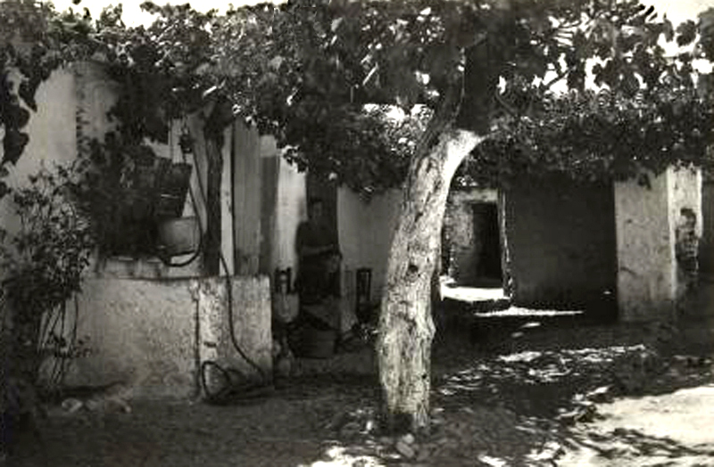 Corral