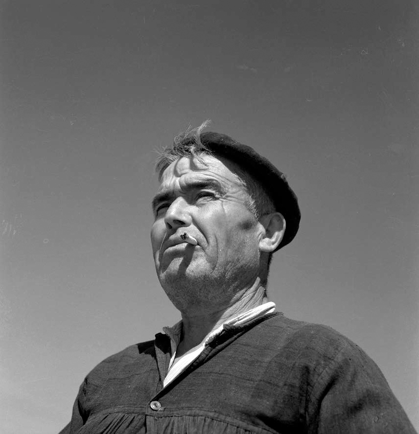 Sancho Panza