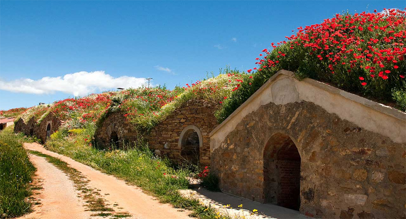Bodegas-cueva en Jimnez de Jamuz