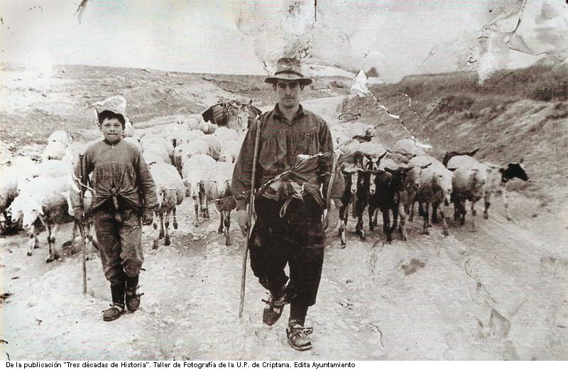Pastores de Criptana. 1964