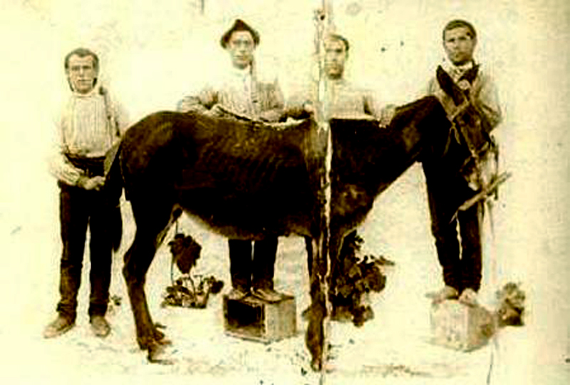 Grupo de gaanes