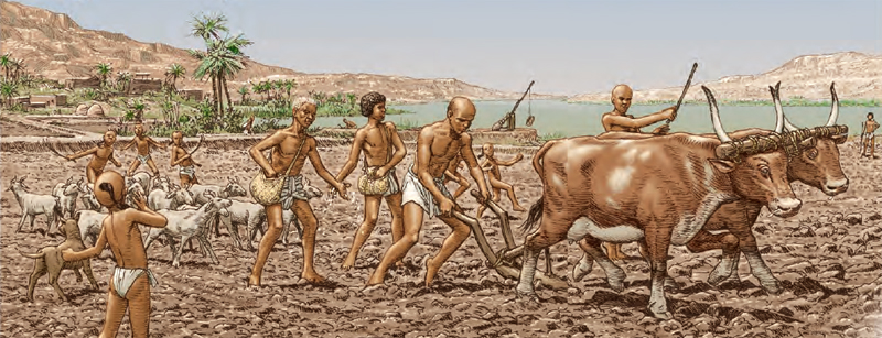 Arado rudimentario en el antiguo Egipto