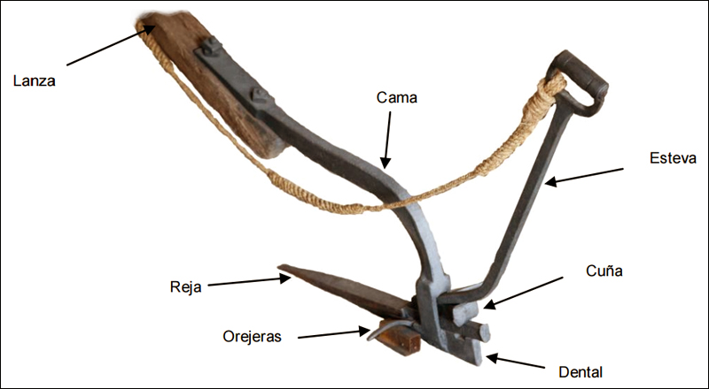 Arado de gancho