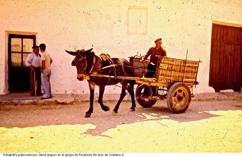 Carro con ruedas de goma