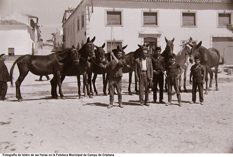 Mulas y muleteros en el Pozo Hondo