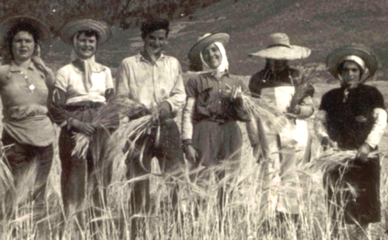 Espigadoras