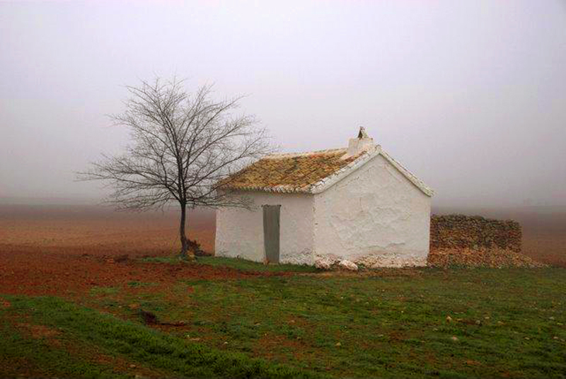 Cocero