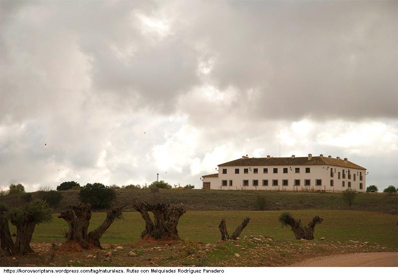 Casa de la Hidalga