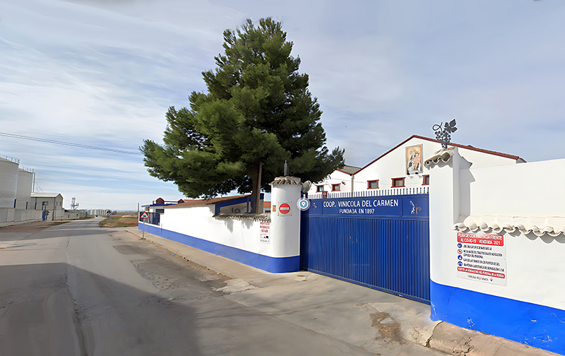 Vincola del Carmen