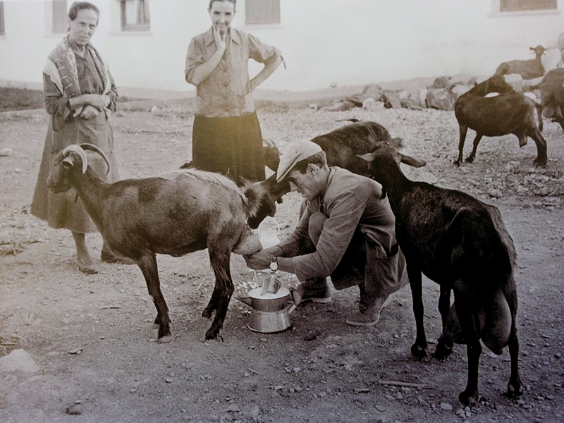 Leche de cabras