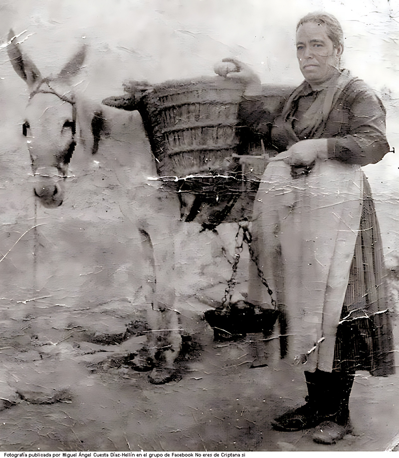 La Rufa