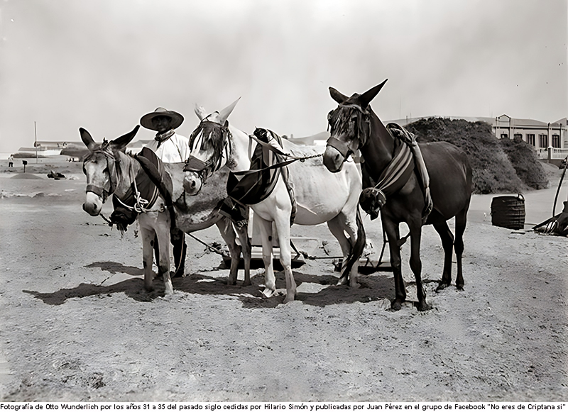 Las eras del Pozo Hondo
