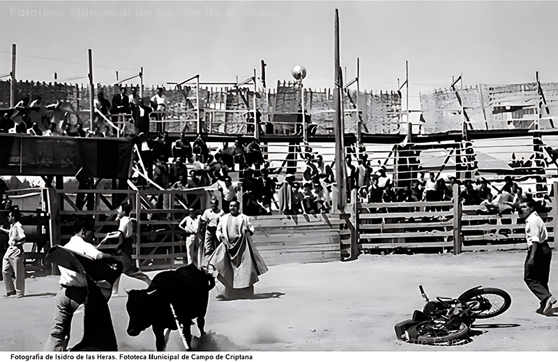 Toros de Criptana