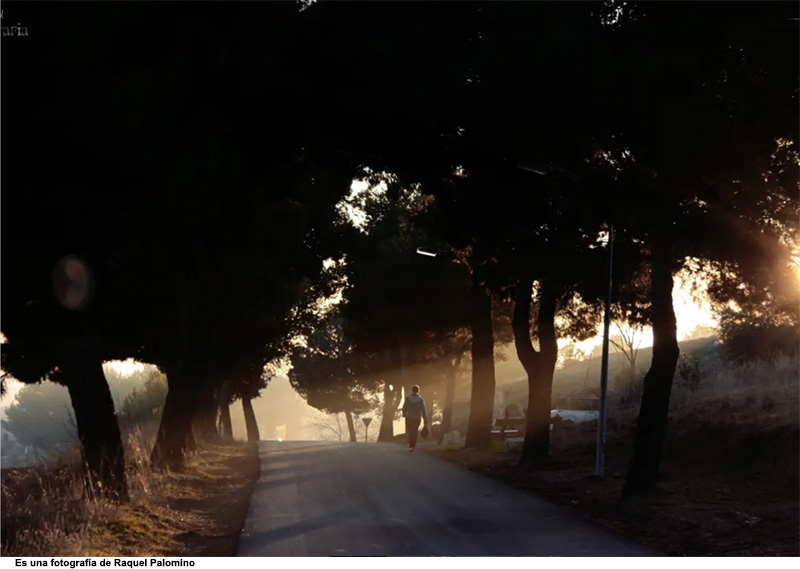 Camino a la Virgen