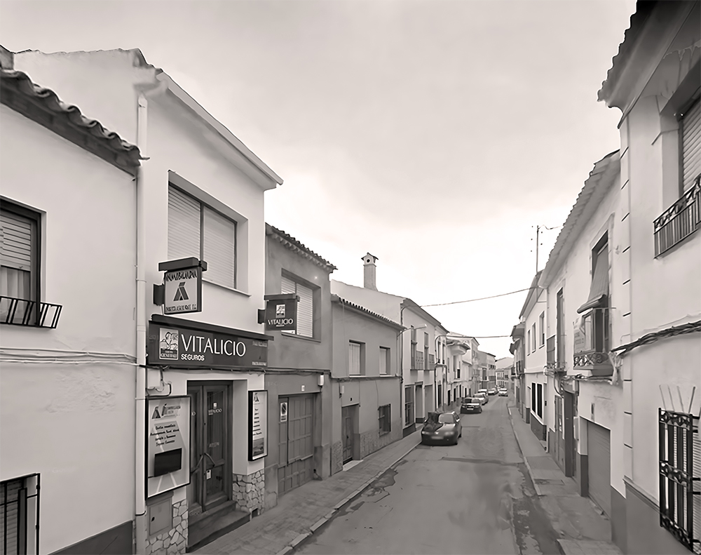 Calle de la Reina