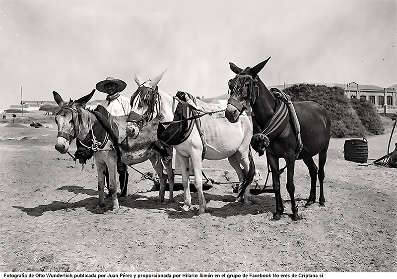Caz del Pozo Hondo