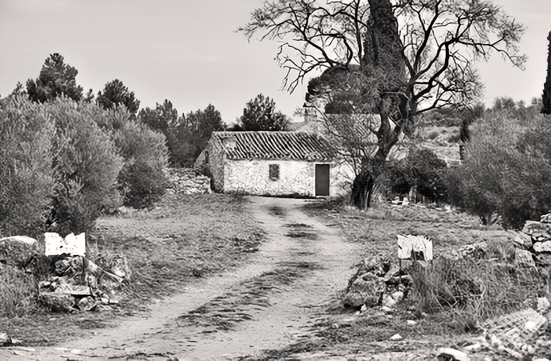 Huerta del Bajo