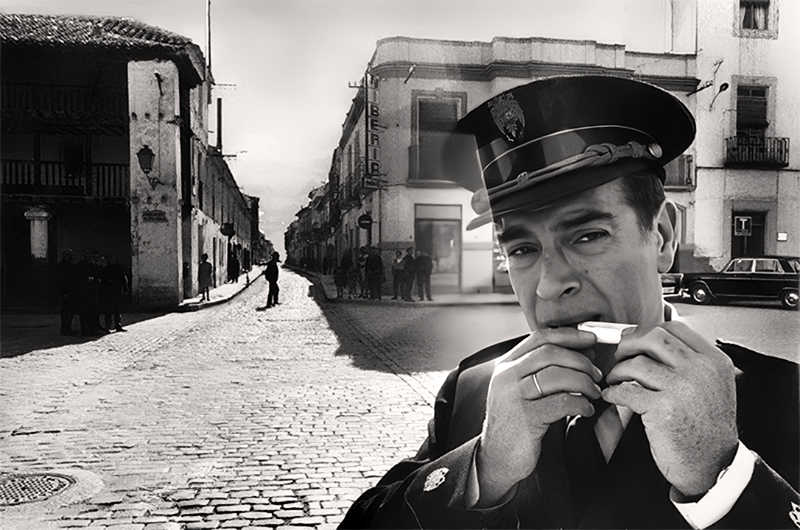 Plinio