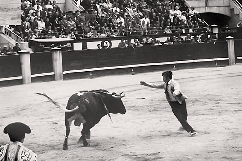 Los toros en televisin