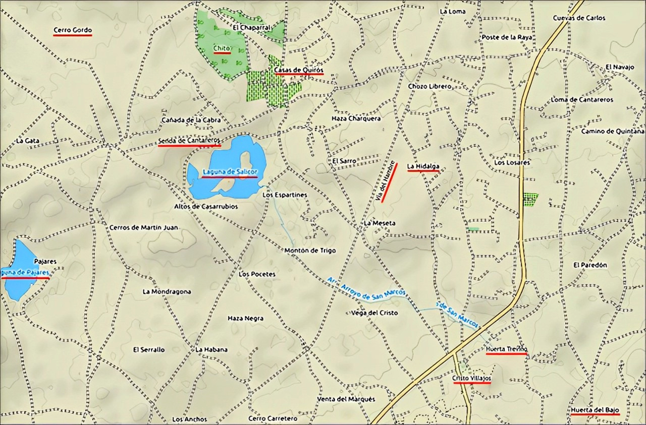 Mapa zona Salicor