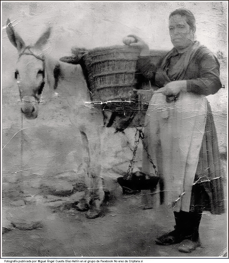 La Rufa