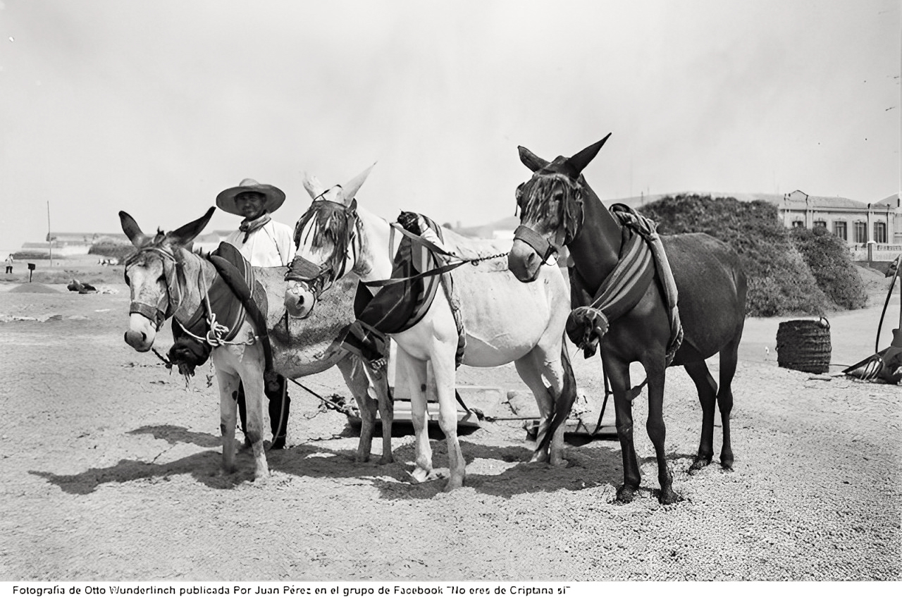 Eras del Pozo Hondo