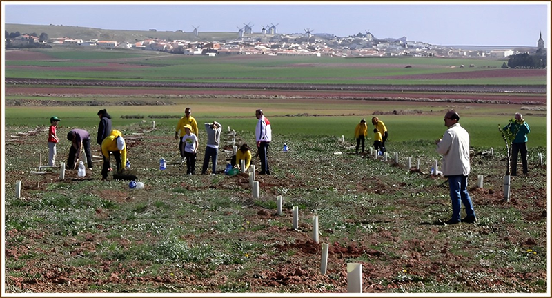Encinares Vivos de La Mancha