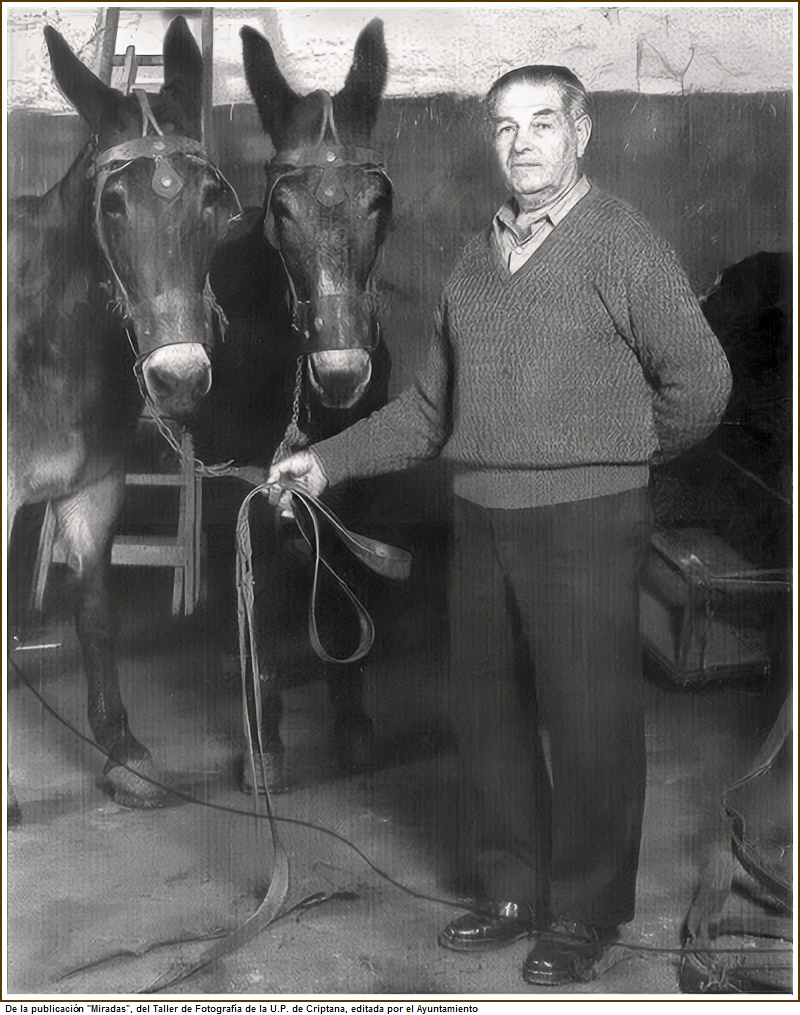 Jos Mara Albacete