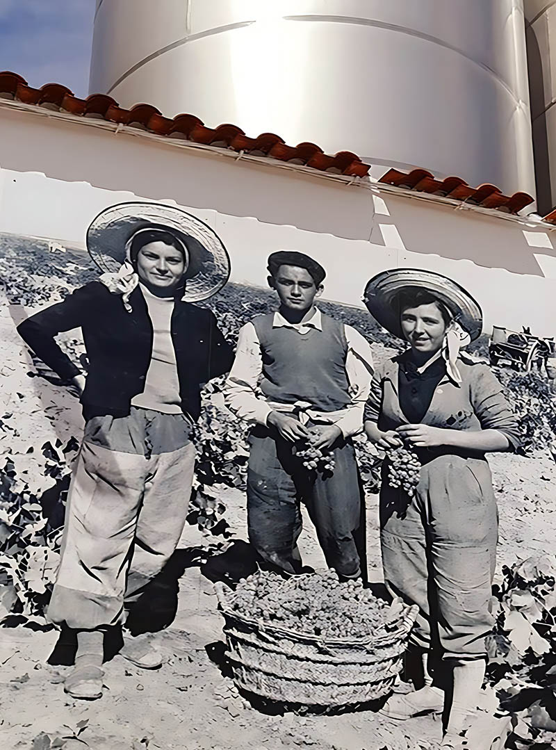Isidro de las Heras