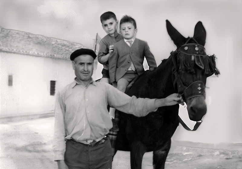 Qu caballericos!