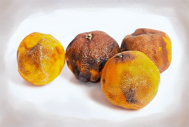 Uvas pudras