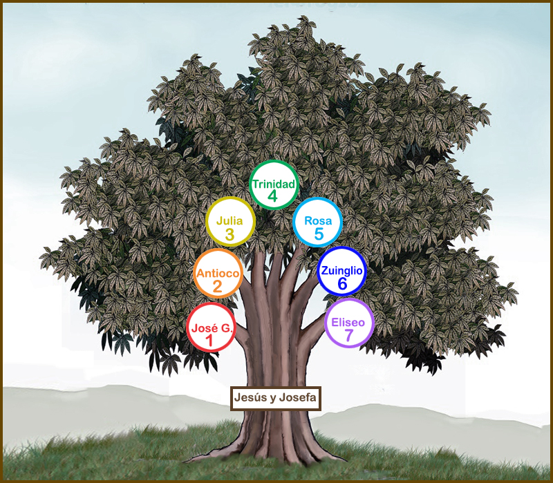 Genealog�a de los S�nchez-Alarcos