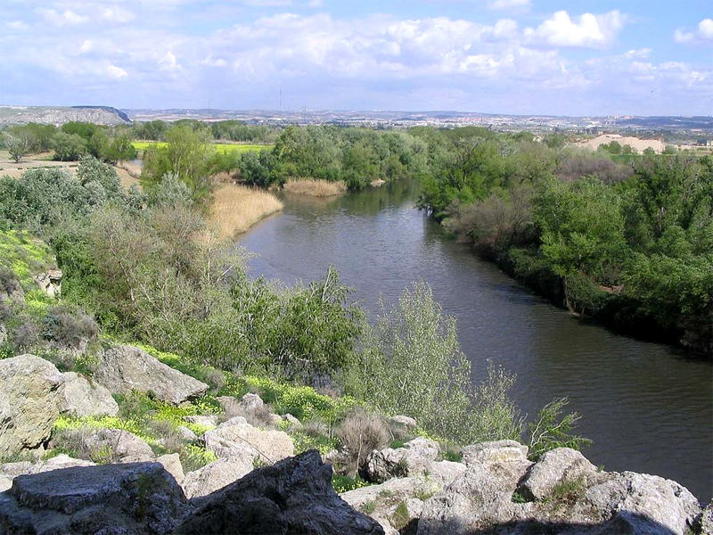 Desembocadura del Manzanares en el Jarama