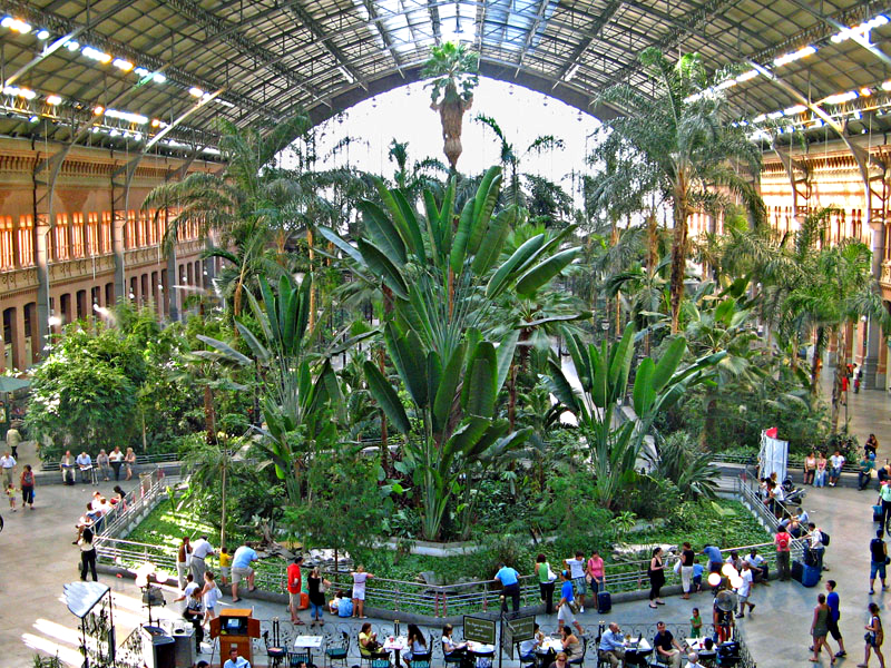 Jardín tropical en los andenes de la antigua Estación de Atocha