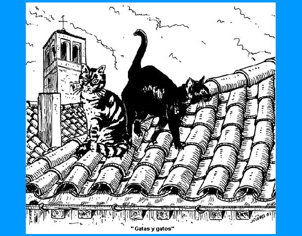 Gatas y gatos