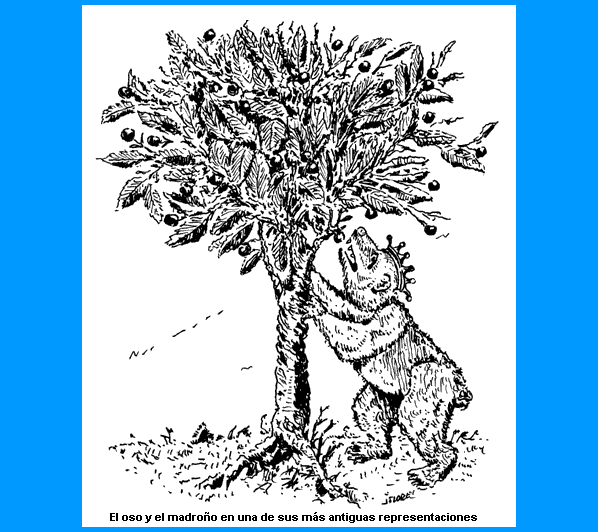 El oso y el madroo