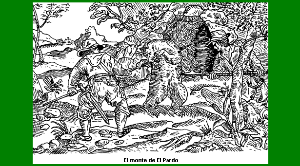El monte de El Pardo